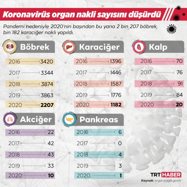 Grafik: Hafize Yurt